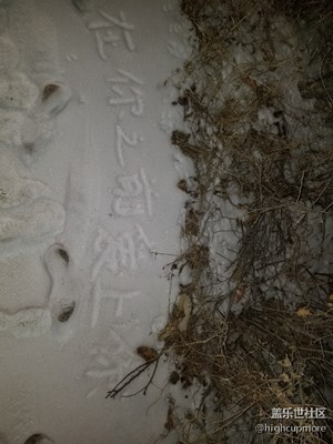 隨手拍