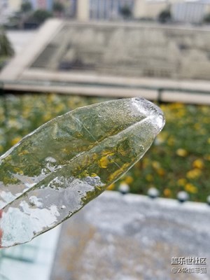 大南昌終于下雪了，雪后的冰凍更美??