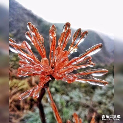 美圖