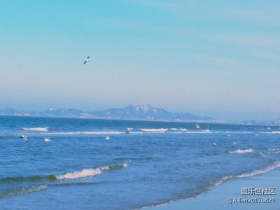 冬天的海