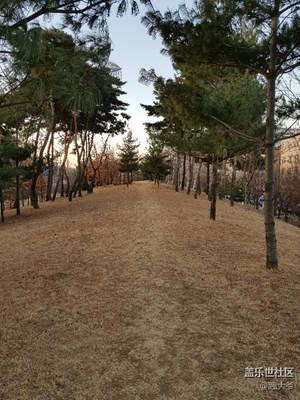 隨拍