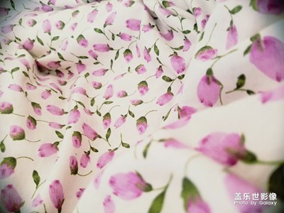 各位老手多多指教，不太會(huì)拍