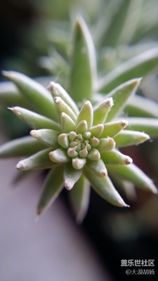 小試牛刀