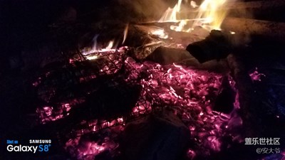 玩