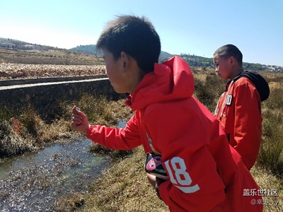 【歡歡喜喜過大年】+雜拍