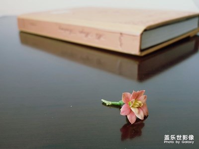 擺拍