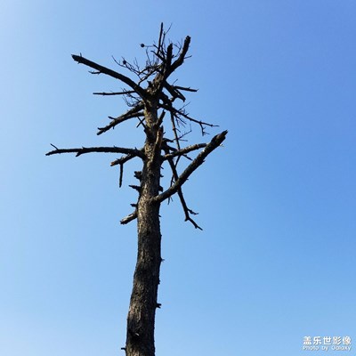 爬山天姥山