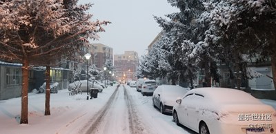 瑞雪兆豐年！