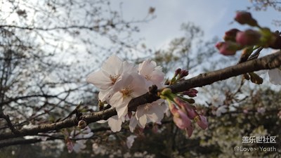 春天蘇醒了