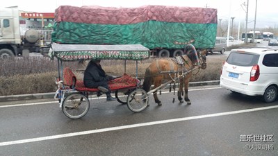 寶馬上路
