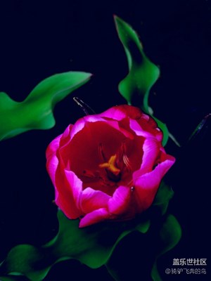 春色無邊