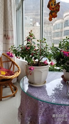 為練手