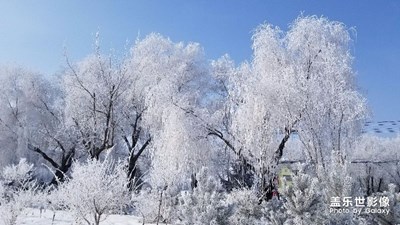 不太會拍照，只給大家看看樣子！