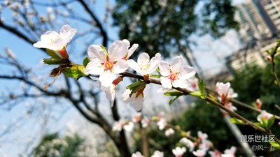 不一樣的春