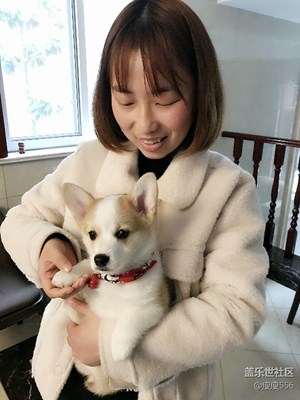 狗子小發(fā)~