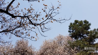 不一樣的天空藍(lán)，美如畫