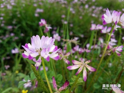 春暖花開