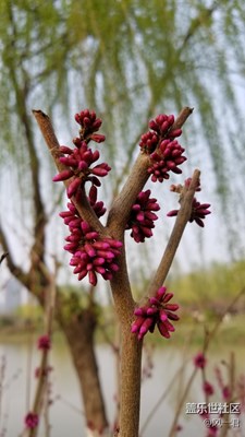 不一樣，就是不一樣