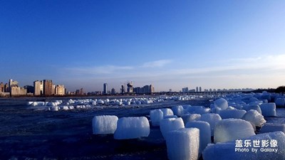 冰城的春天靜悄悄。