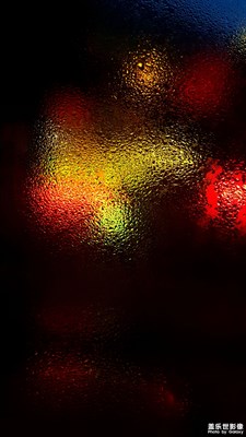 【燈】+夜朦朧，鳥朦朧