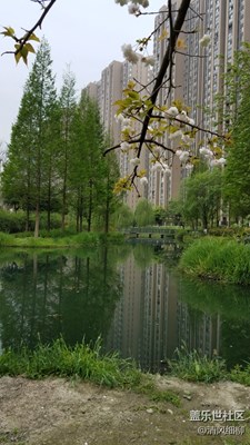 春天里我的家