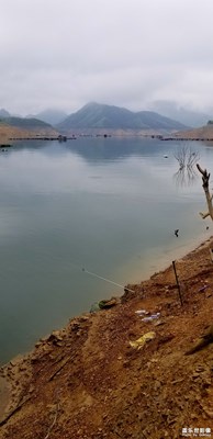 龍灘電站釣魚
