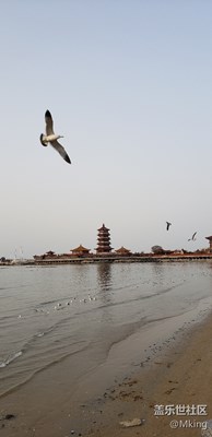 家長(zhǎng)的網(wǎng)紅