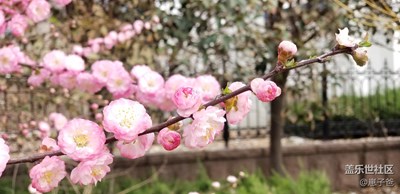 人見(jiàn)人愛(ài)，花見(jiàn)花開(kāi)