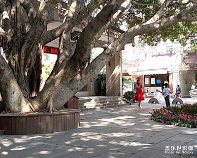 東湖公園