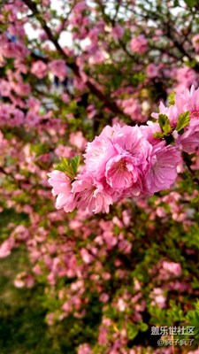 note8隨拍