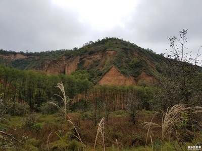 黃土高原