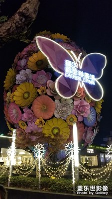 夜拍！