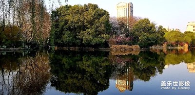 春曖百花，各表一枝；不為斗艷，只為相見。