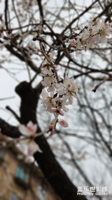 春天來了