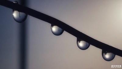 晨露