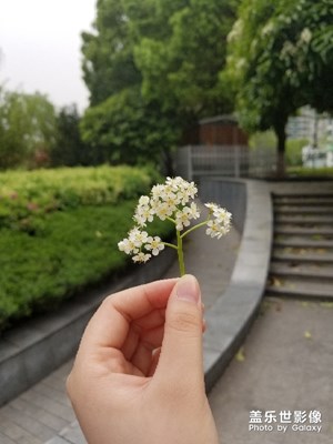 無(wú)題