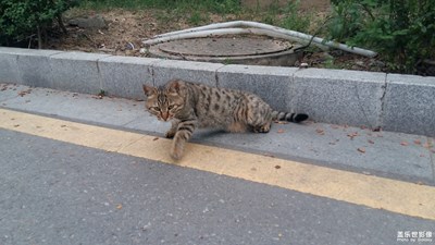 a7攝影