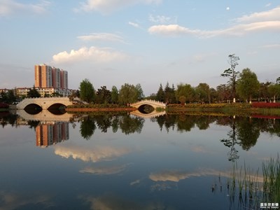 公園一角