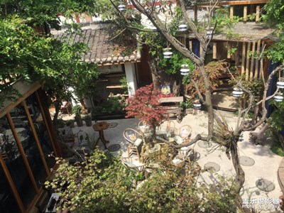 曬太陽