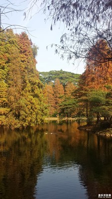 【留住記憶的照片】油畫一樣的風(fēng)景