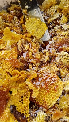 正宗中華蜂蜂蜜。。。