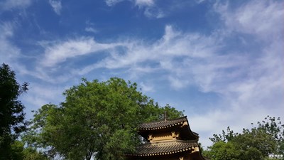 周日隨拍