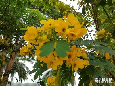 隨拍