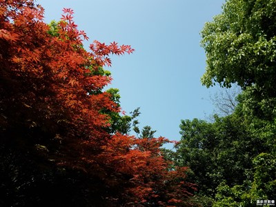 錢塘江岸