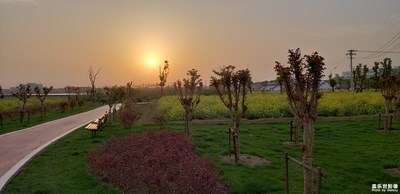 S9+隨拍