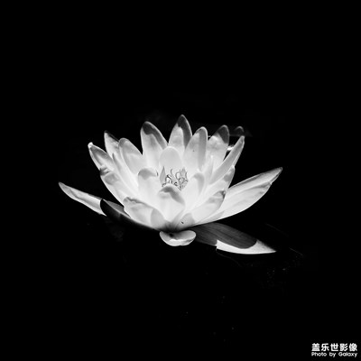 獨(dú)白