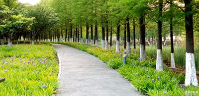 不一樣的路