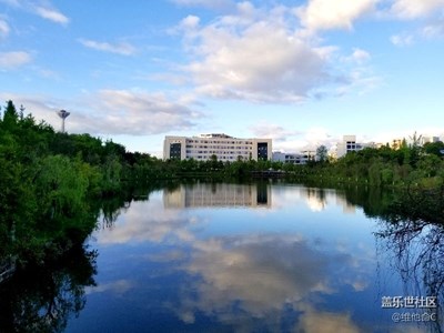 雨后隨拍