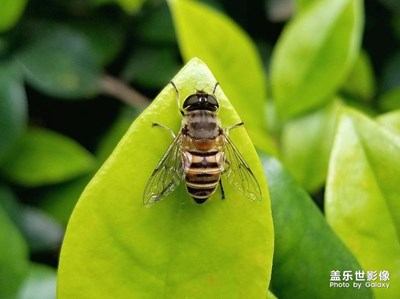 重口味……
