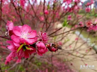 準(zhǔn)備換機(jī)，清內(nèi)存時(shí)發(fā)現(xiàn)的（下次發(fā)貼估計(jì)是Galaxy s9了）